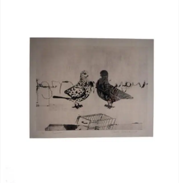 Pigeons