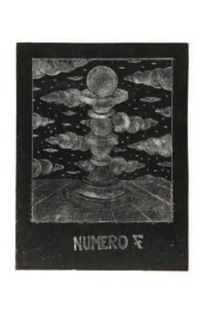 Numero 7