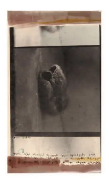 Cucun