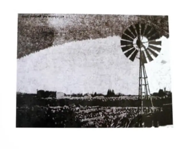 Still looking for Windmill