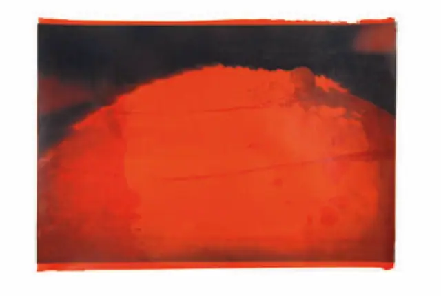 Surya Namaskar